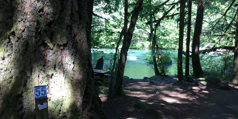 Camper submitted image from Paradise Campground