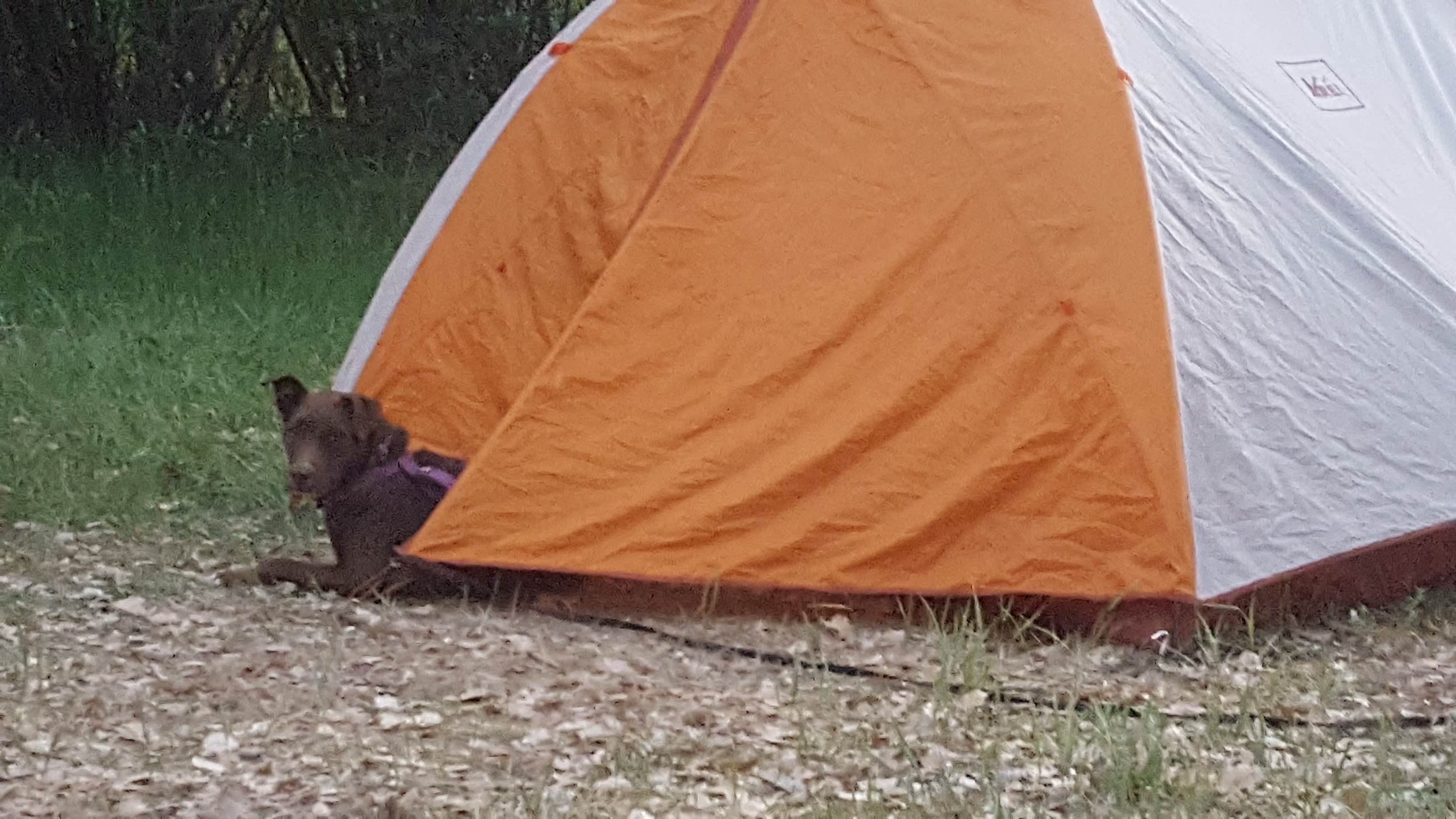 Melissa K.'s photo at Ledges Cottonwood Campground near Grand Mesa, Uncompahgre and Gunnison National Forests