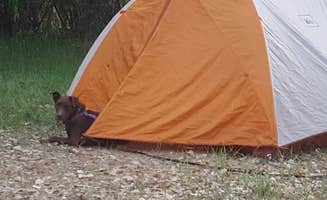 Melissa K.'s photo at Ledges Cottonwood Campground near Grand Mesa, Uncompahgre and Gunnison National Forests