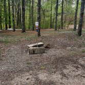 Review photo of Horine Reservation Camping at Jefferson County Memorial Forest  by Tombo T., May 15, 2021