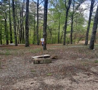 Camper-submitted photo from Starve Hollow State Rec Area