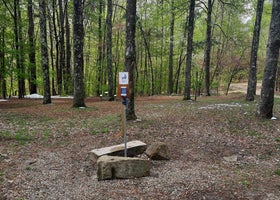 Jefferson Memorial Forest Campground