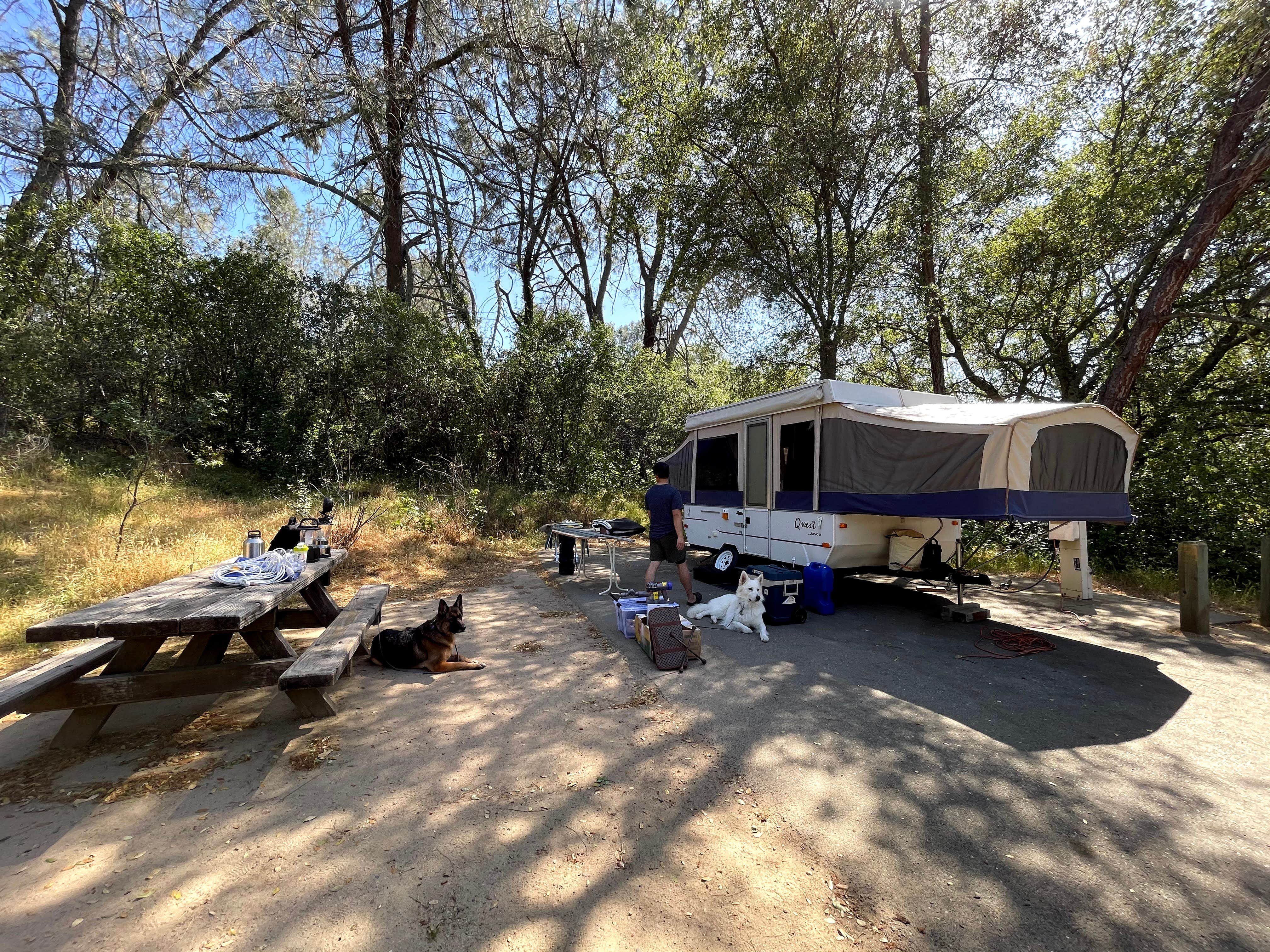 Beals Point Campground The Dyrt