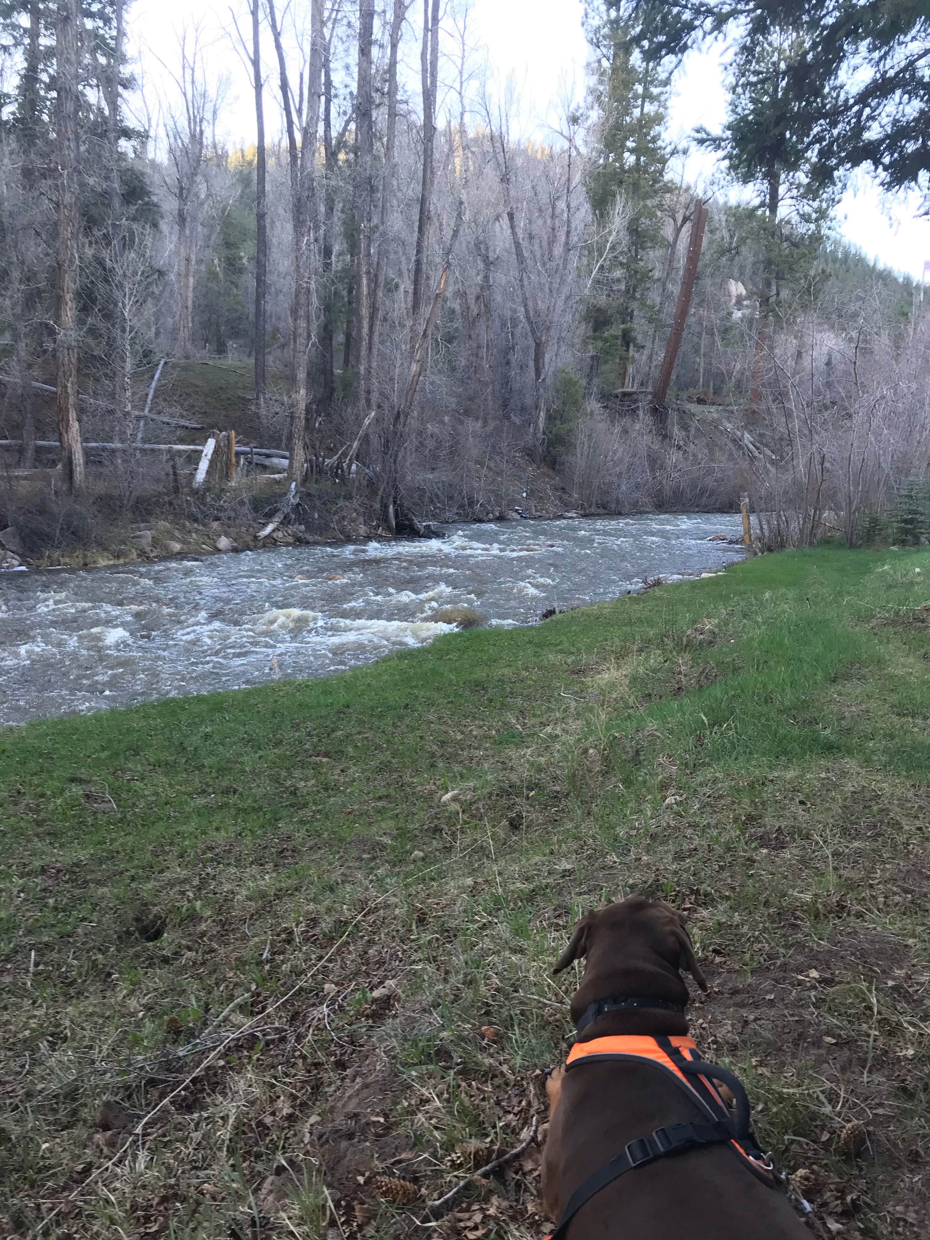 Camper submitted image from Stoner RV Resort - 5