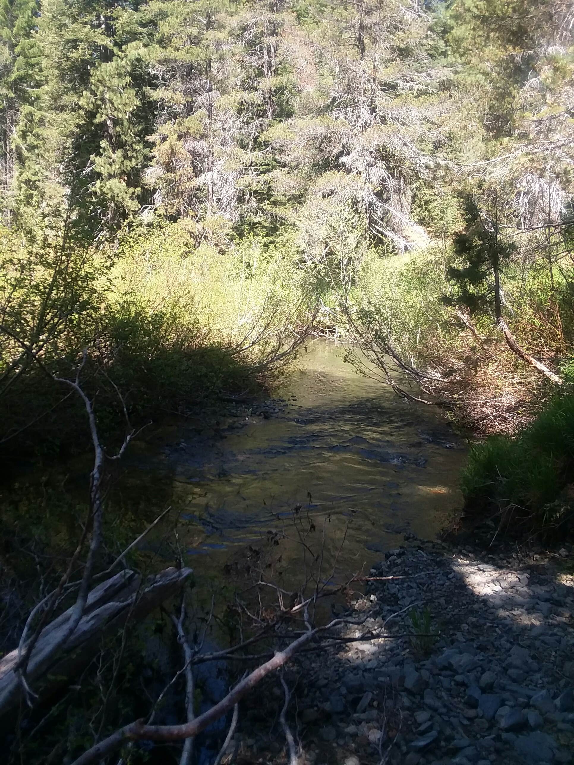 Camper-submitted photo at Woodchuck Campground near Olympic Valley, CA