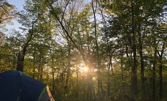 Camping near Wanatee Park (formerly Squaw Creek): Palisades-Kepler State Park, Ely, Iowa