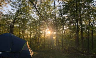 Carrie V.'s photo at Palisades-Kepler State Park Campground near Ely, IA