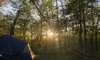 Camping near Wanatee Park (formerly Squaw Creek): Palisades-Kepler State Park, Ely, Iowa