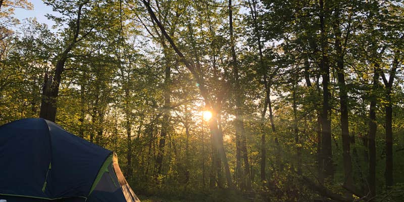 Camper submitted image from Palisades-Kepler State Park Campground