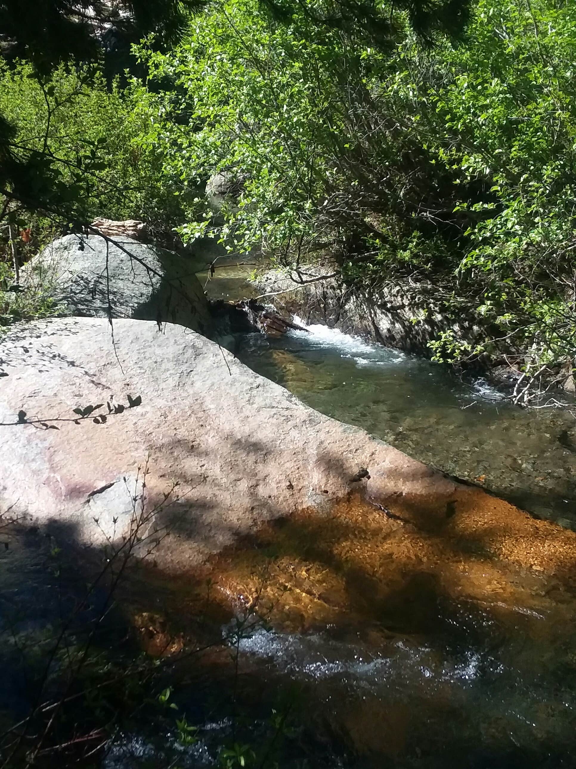 Camper submitted image from Woodchuck Campground - 2