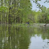 Review photo of Cave Creek - Rough River Lake by William C., May 15, 2021