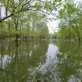 Review photo of Cave Creek - Rough River Lake by William C., May 15, 2021