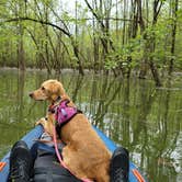 Review photo of Cave Creek - Rough River Lake by William C., May 15, 2021