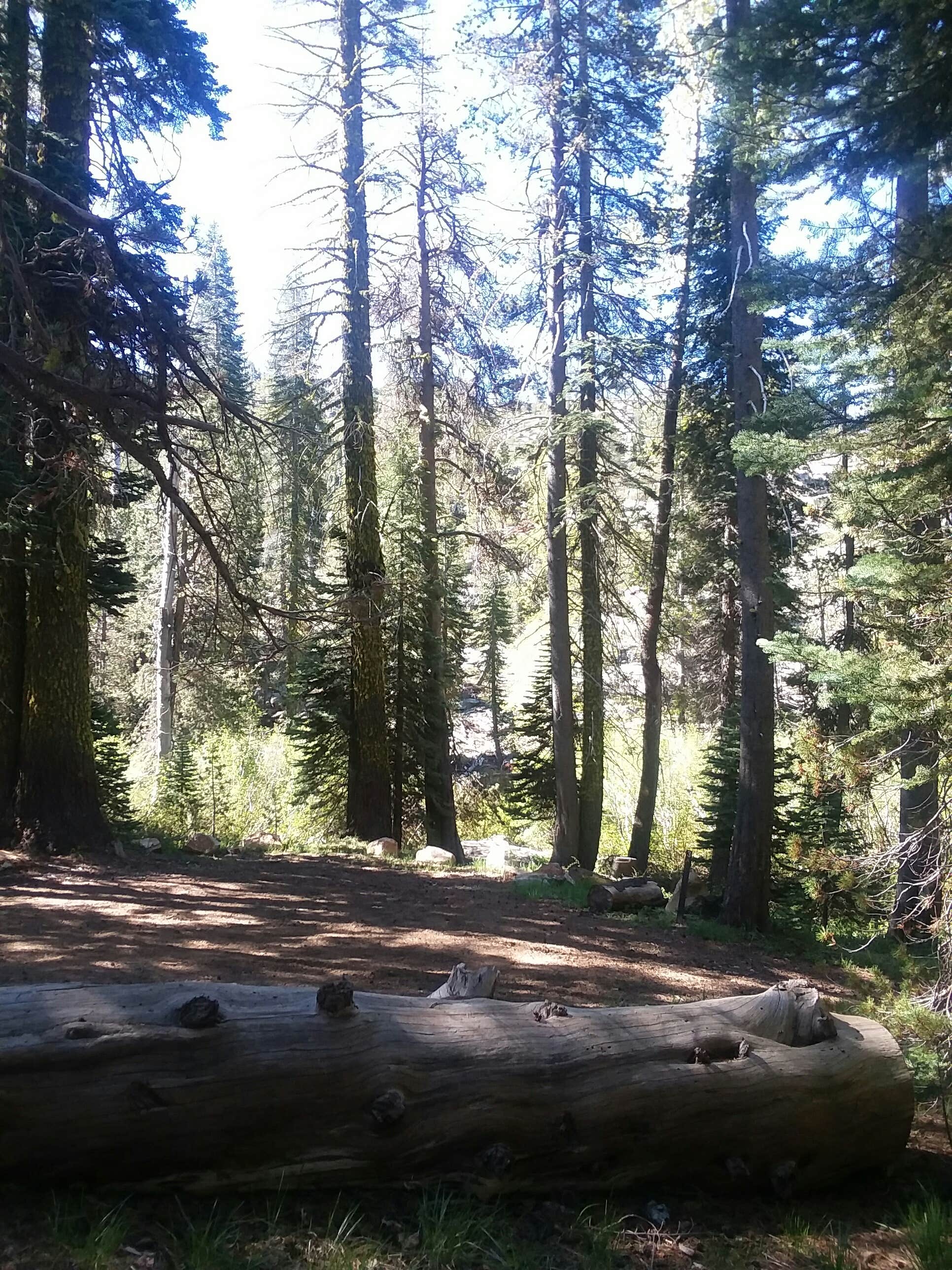 Camper-submitted photo at Woodchuck Campground near Olympic Valley, CA
