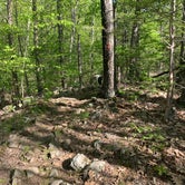 Review photo of Onion Mountain Park by Nora S., May 14, 2021
