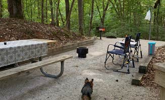 Genie C.'s photo of camping with pets at Deerlick Creek near Marion, AL