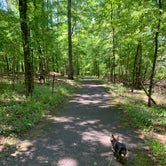 Review photo of Deerlick Creek by Genie C., May 15, 2021