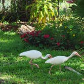 Review photo of Manatee Hammock Campground by Elizabeth D., May 15, 2021