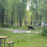 Review photo of Gros Ventre Campground — Grand Teton National Park by Mike H., June 3, 2018