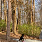 Review photo of Mt Gilead State Park Campground by Shannon G., May 15, 2021