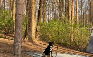 Shannon G.'s photo at Mt Gilead State Park Campground near Mansfield, OH