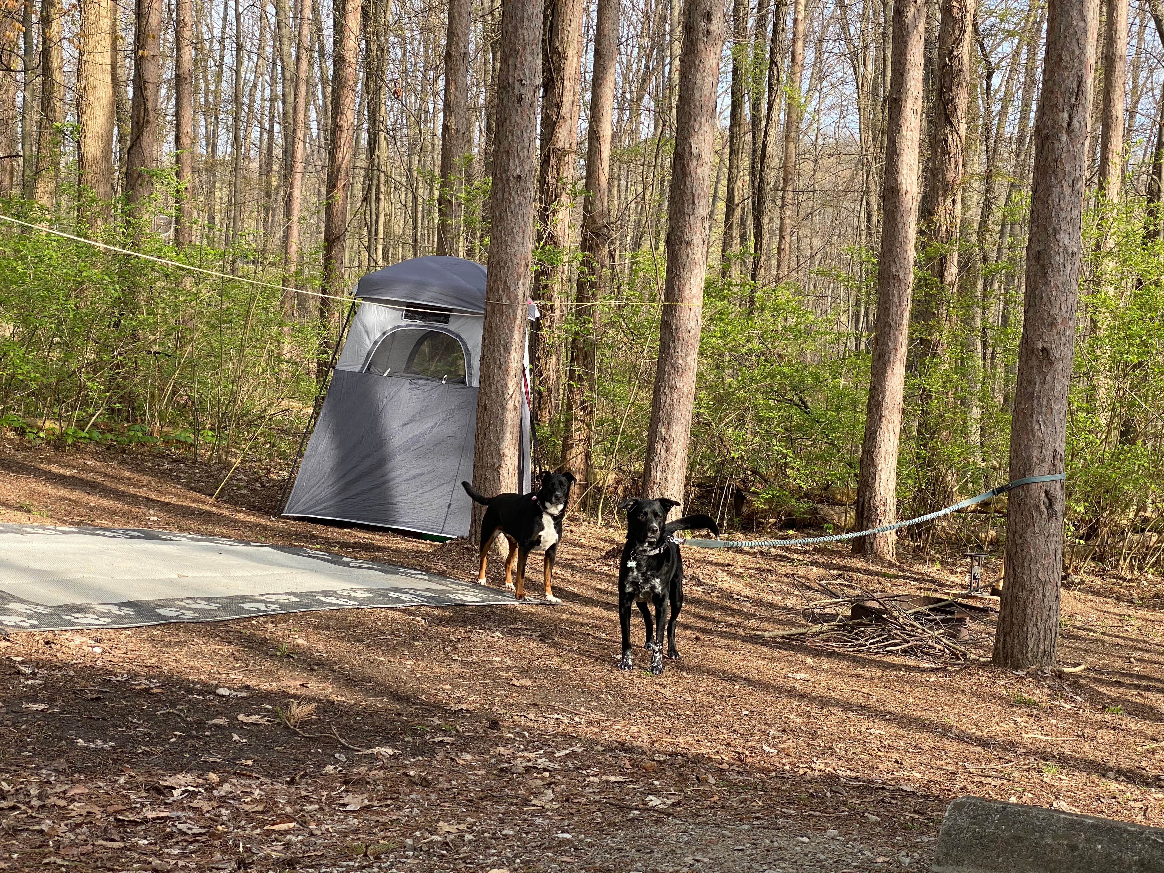 Shannon G.'s photo at Mt Gilead State Park Campground near Richwood, OH