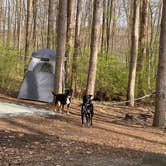 Review photo of Mt Gilead State Park Campground by Shannon G., May 15, 2021