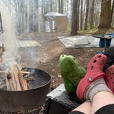 Review photo of Mt Gilead State Park Campground by Shannon G., May 15, 2021