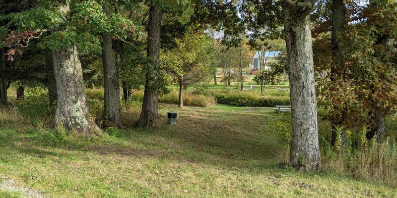 Camper submitted image from Possum Tail Farm Camp