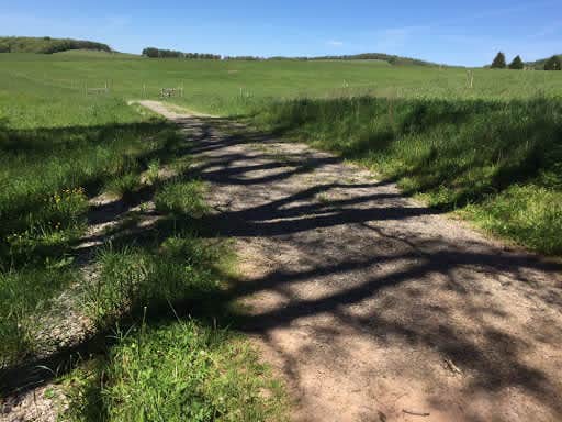 Camper-submitted photo at Possum Tail Farm Camp near Brownfield, PA