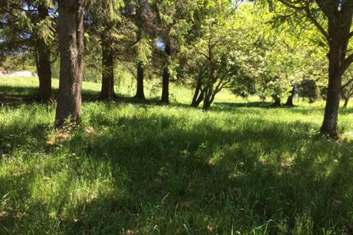 Camper-submitted photo at Possum Tail Farm Camp near Brownfield, PA