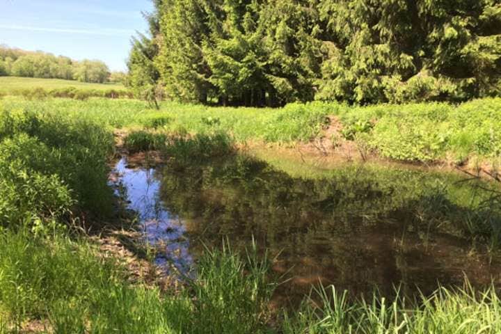 Camper-submitted photo at Possum Tail Farm Camp near Brownfield, PA