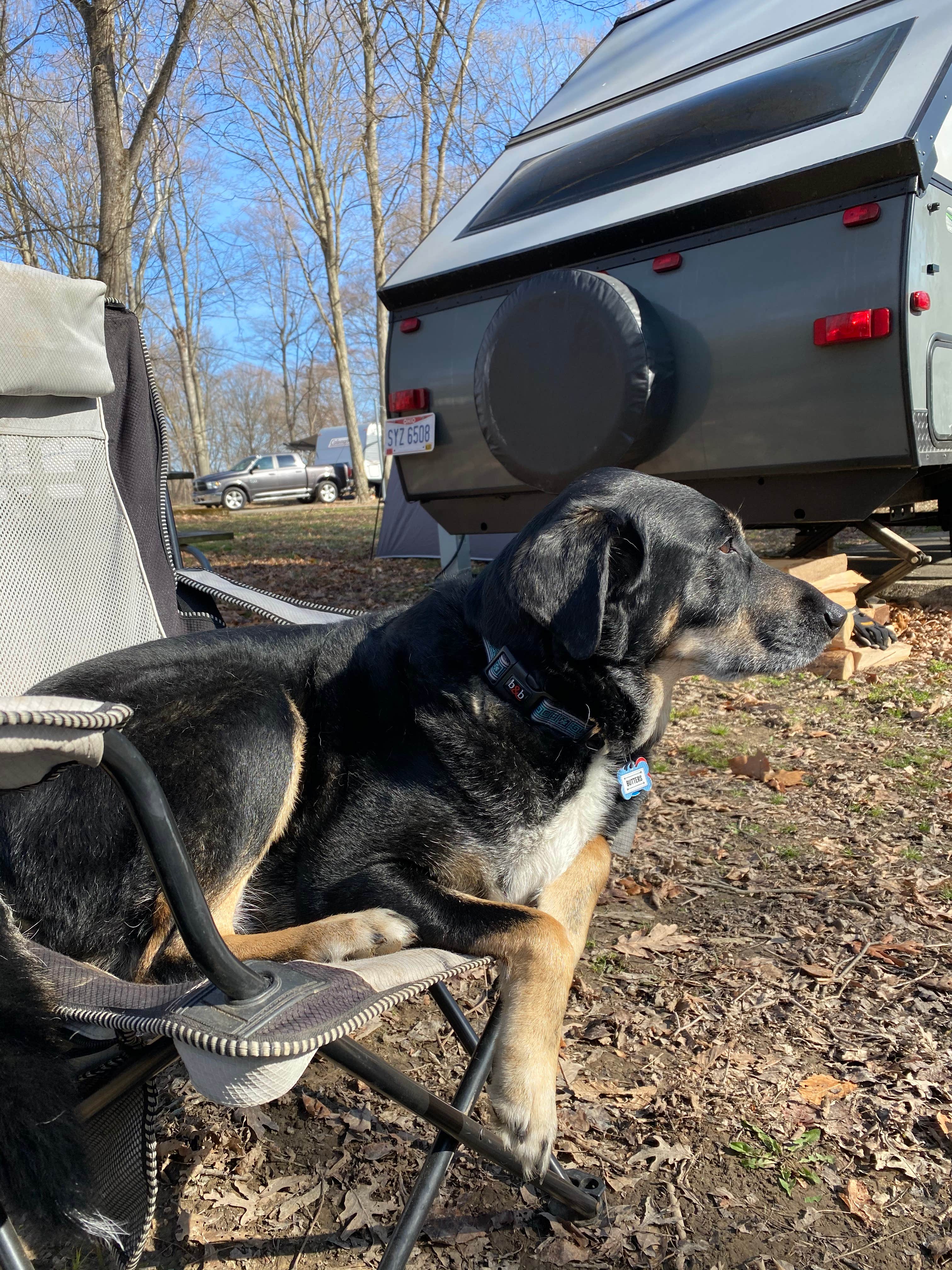 Shannon G.'s photo of camping with pets at A.W. Marion State Park Campground near Columbus, OH