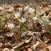 Review photo of A.W. Marion State Park Campground by Shannon G., May 15, 2021