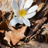 Review photo of A.W. Marion State Park Campground by Shannon G., May 15, 2021