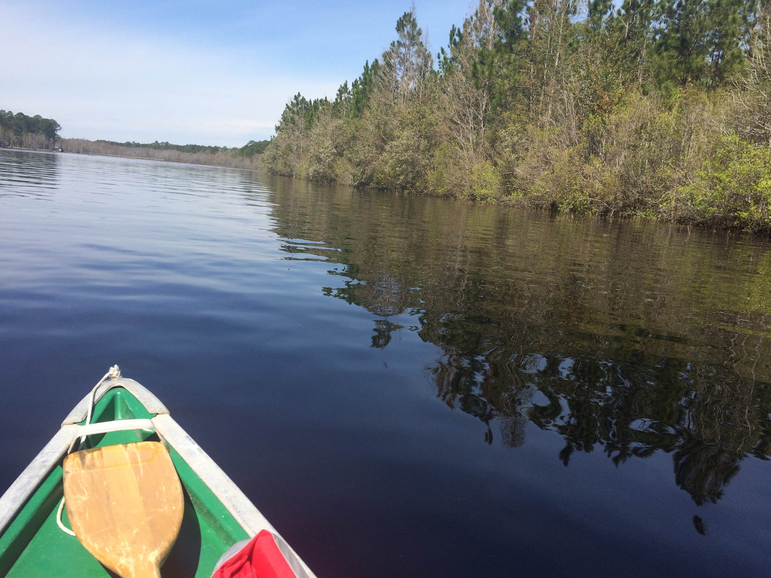 Camper submitted image from Laura S Walker State Park Campground - 3