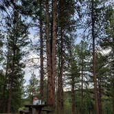 Review photo of Black Hills National Forest Cook Lake Campground by Molly , May 15, 2021