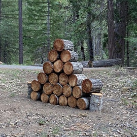 A winter of downed wood ready for a summer of camping.