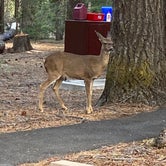 Review photo of Fowlers Campground by Greg B., May 15, 2021