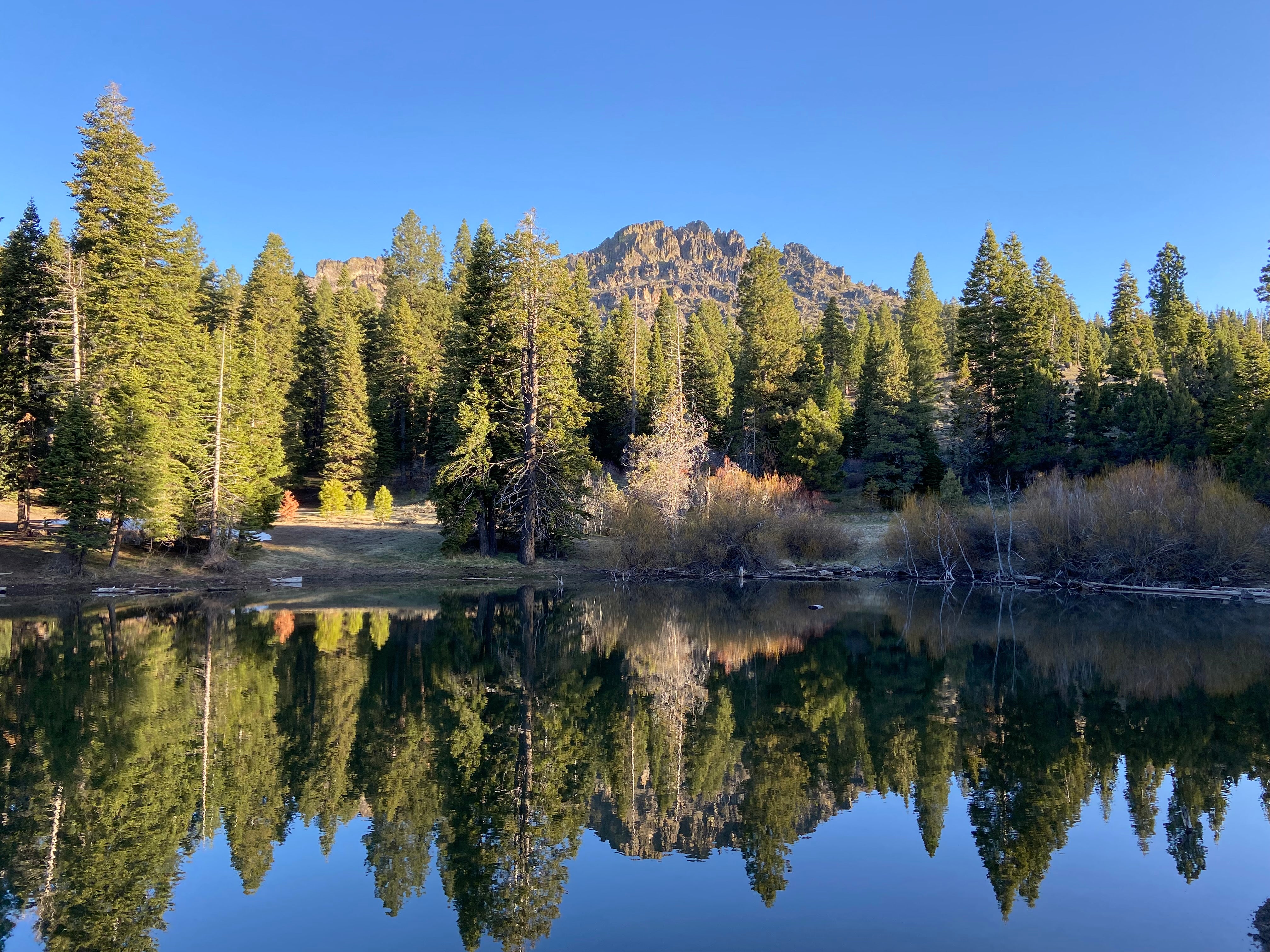 Camper submitted image from Stough Reservoir Campground - 4