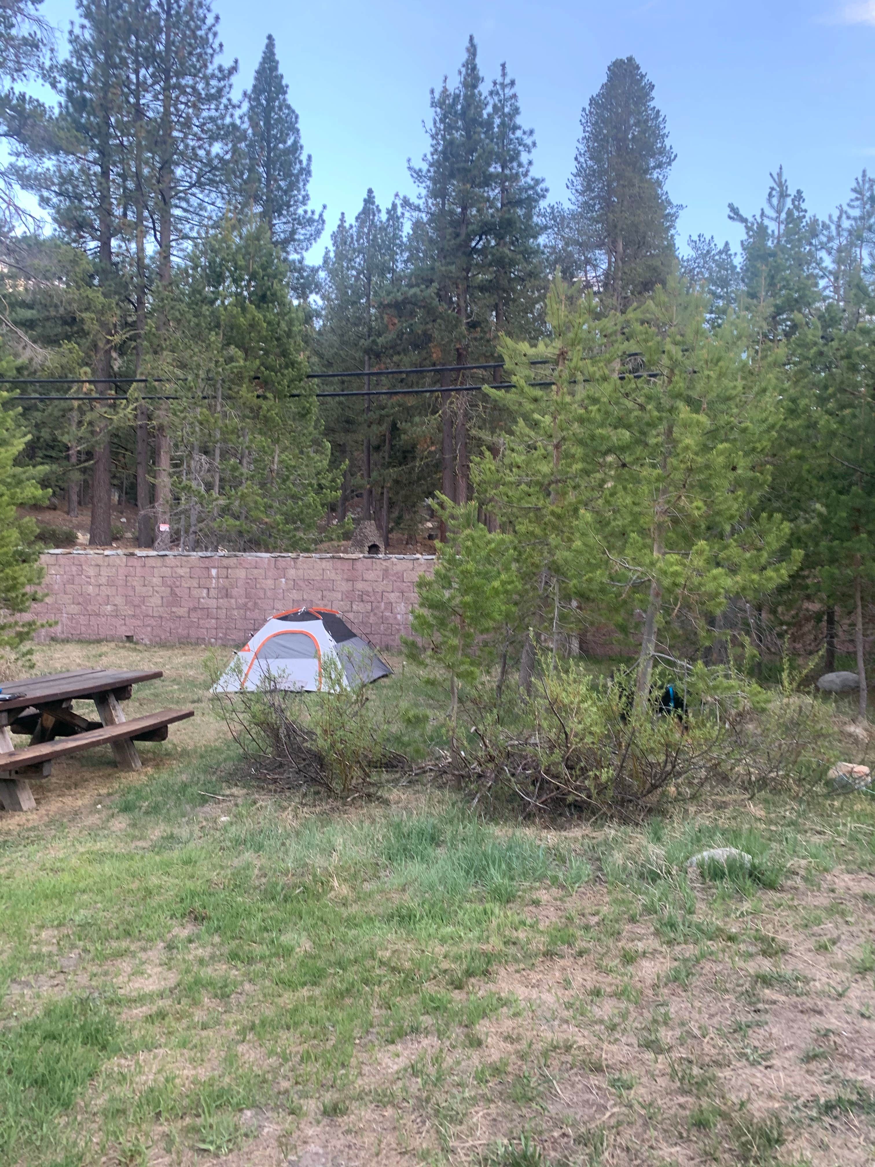 Toni  K.'s photo at Meeks Bay near Carson City, NV