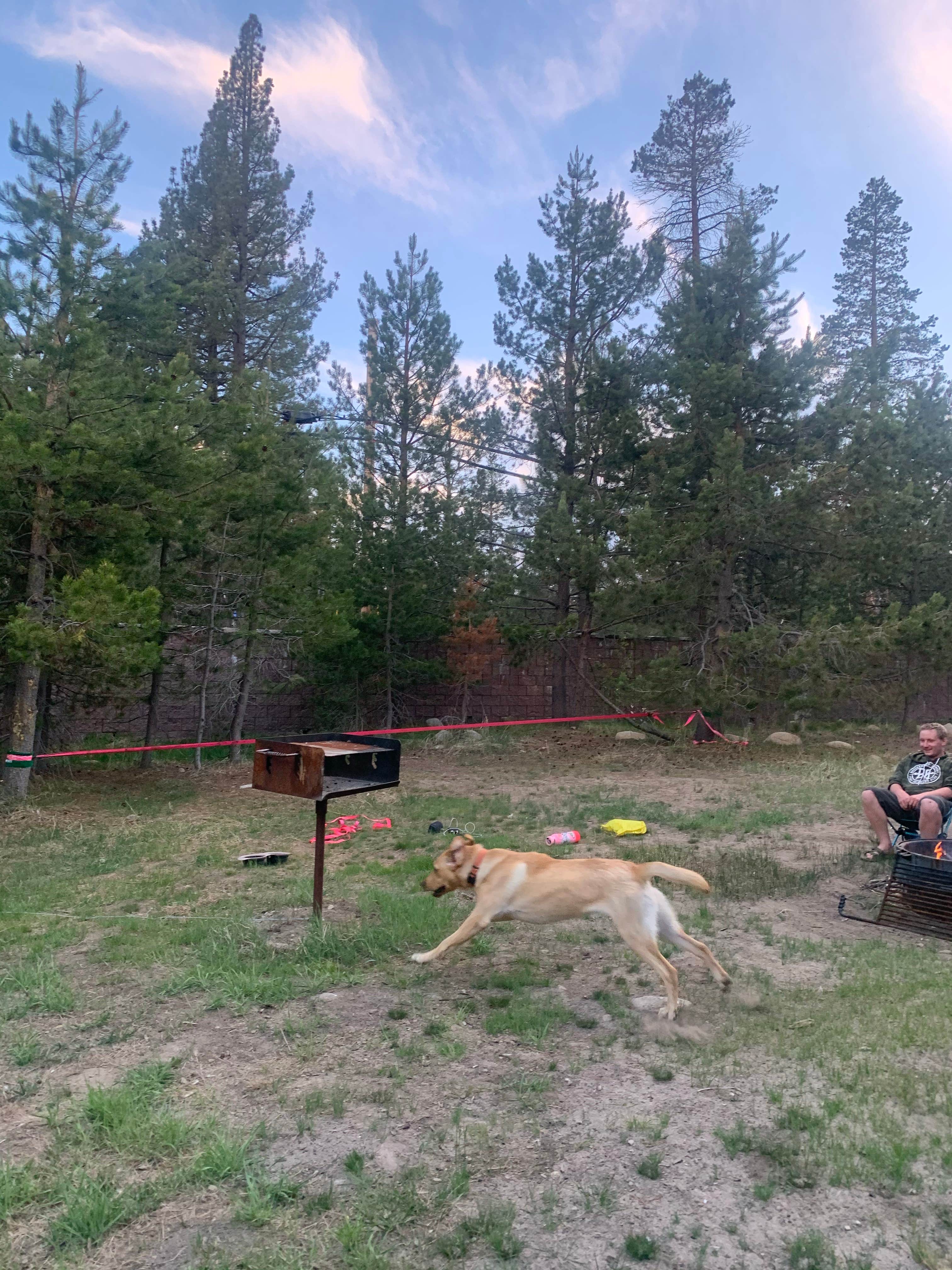 Toni  K.'s photo of camping with pets at Meeks Bay near South Lake Tahoe, CA