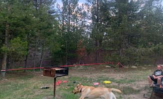 Toni  K.'s photo of camping with pets at Meeks Bay near Kings Beach, CA