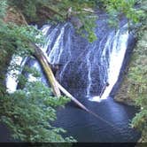 Review photo of Silver Falls State Park Campground by Molly H., June 3, 2018
