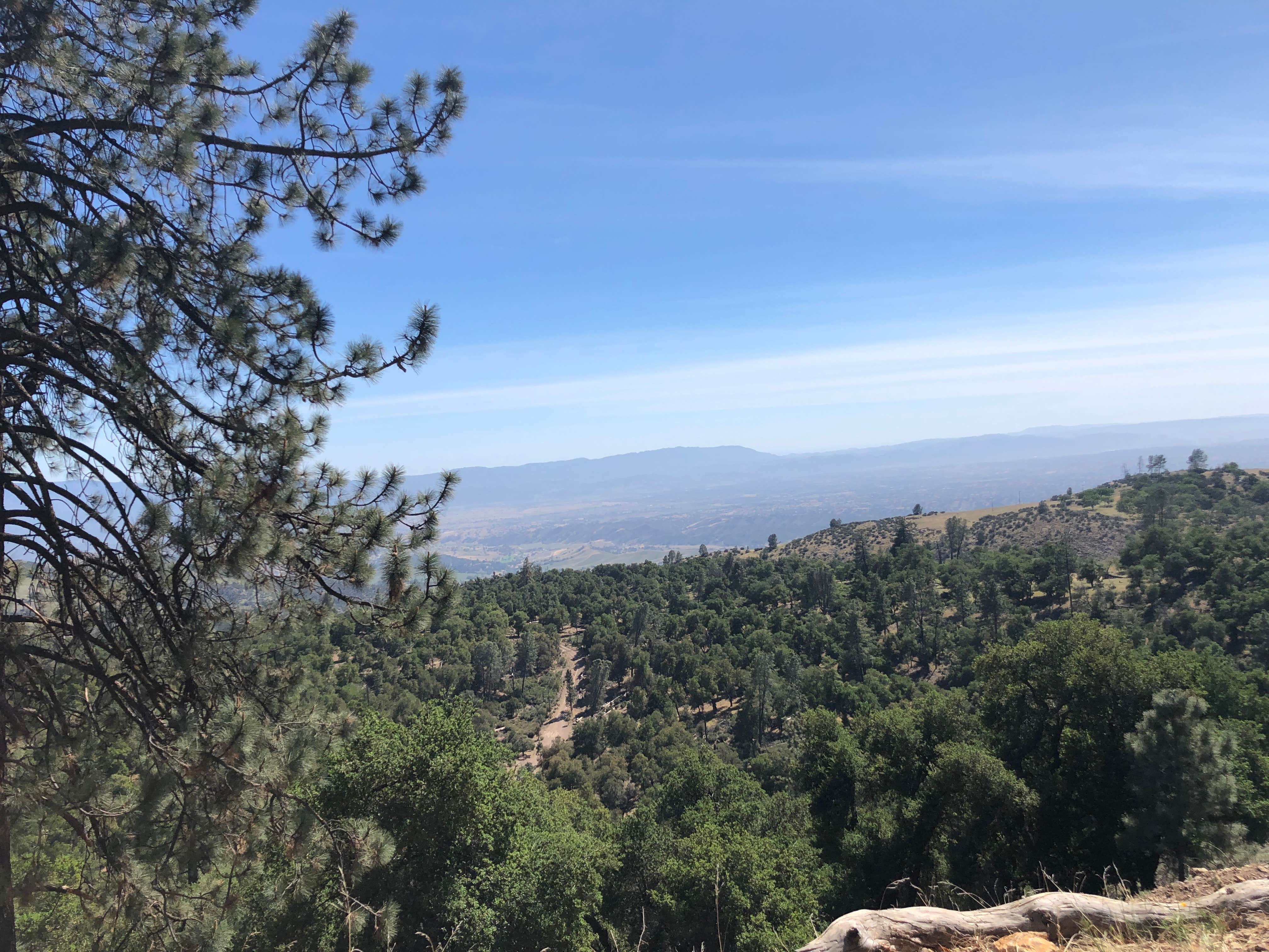 Camper submitted image from Mt. Figueroa Campground - 5