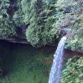 Review photo of Silver Falls State Park Campground by Molly H., June 3, 2018