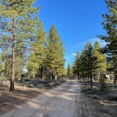 Review photo of Tom Best Spring Road FR117 Dispersed - Dixie National Forest by Spencer R., May 15, 2021