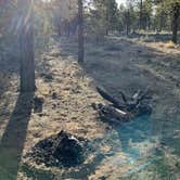 Review photo of Tom Best Spring Road FR117 Dispersed - Dixie National Forest by Spencer R., May 15, 2021