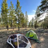 Review photo of Tom Best Spring Road FR117 Dispersed - Dixie National Forest by Spencer R., May 15, 2021