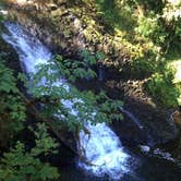 Review photo of Silver Falls State Park Campground by Molly H., June 3, 2018